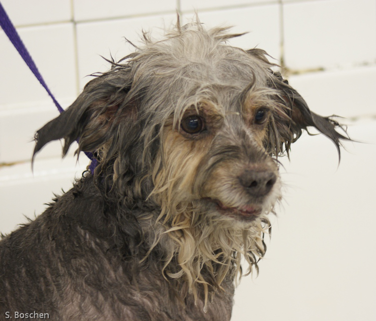 Delia - Ready for Blow Drying